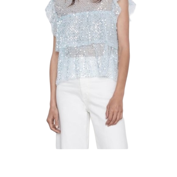 Zara Shimmering Translucent Ruffle Blouse Size M - Picture 5 of 5